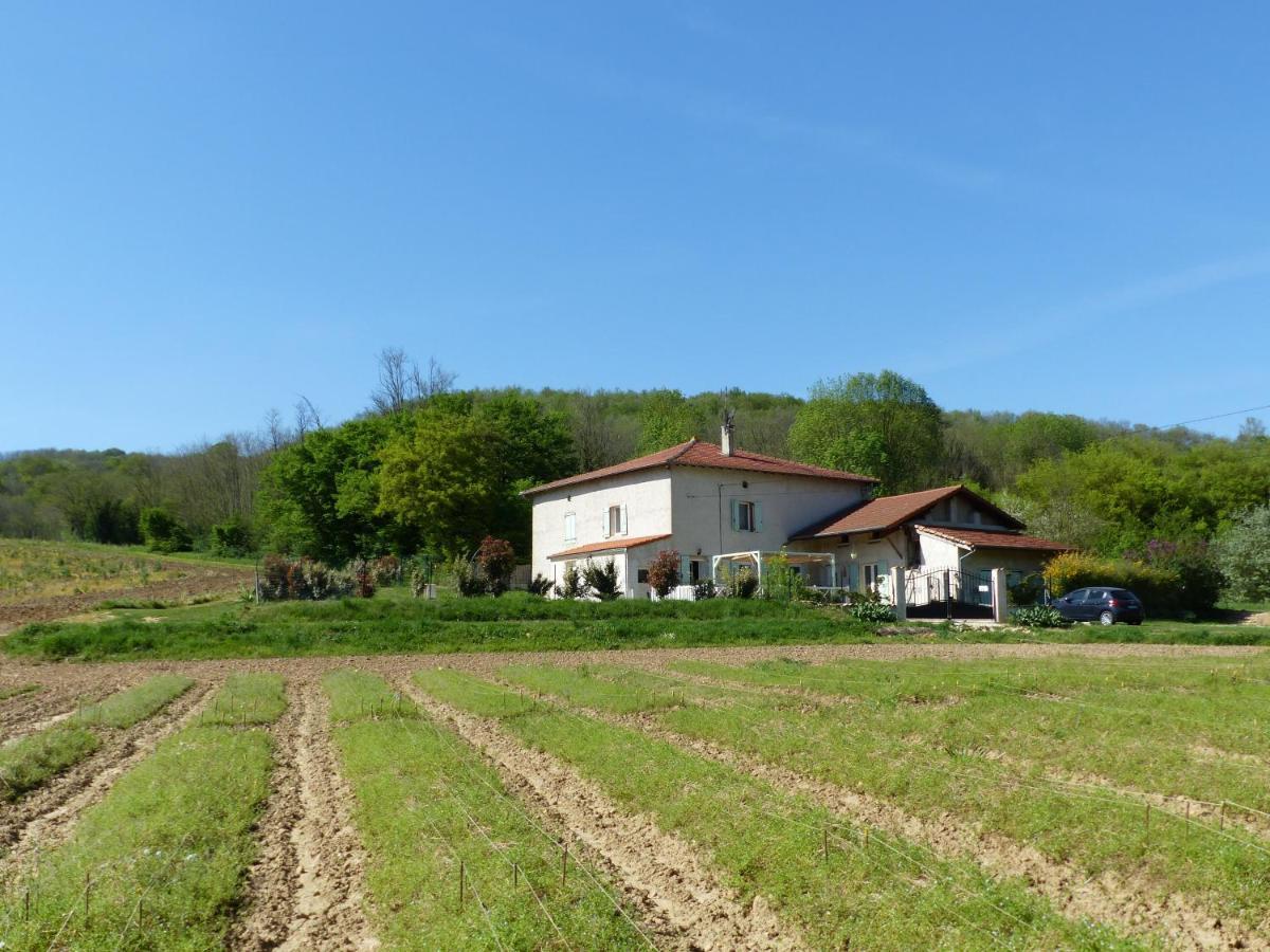 Chambre D'Hotes - Le Safran Du Val D'Or Anneyron Zewnętrze zdjęcie